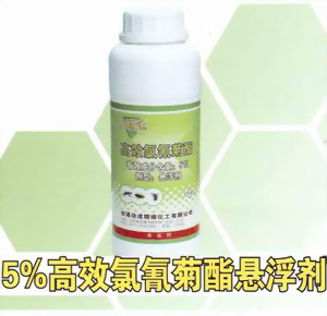 名称：大功达、高效氯氰菊酯5%