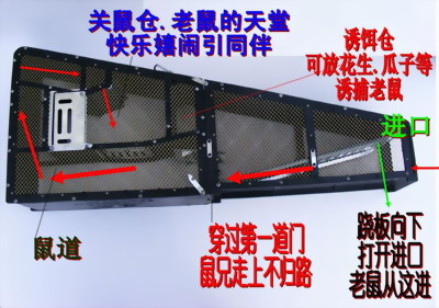 关鼠仓